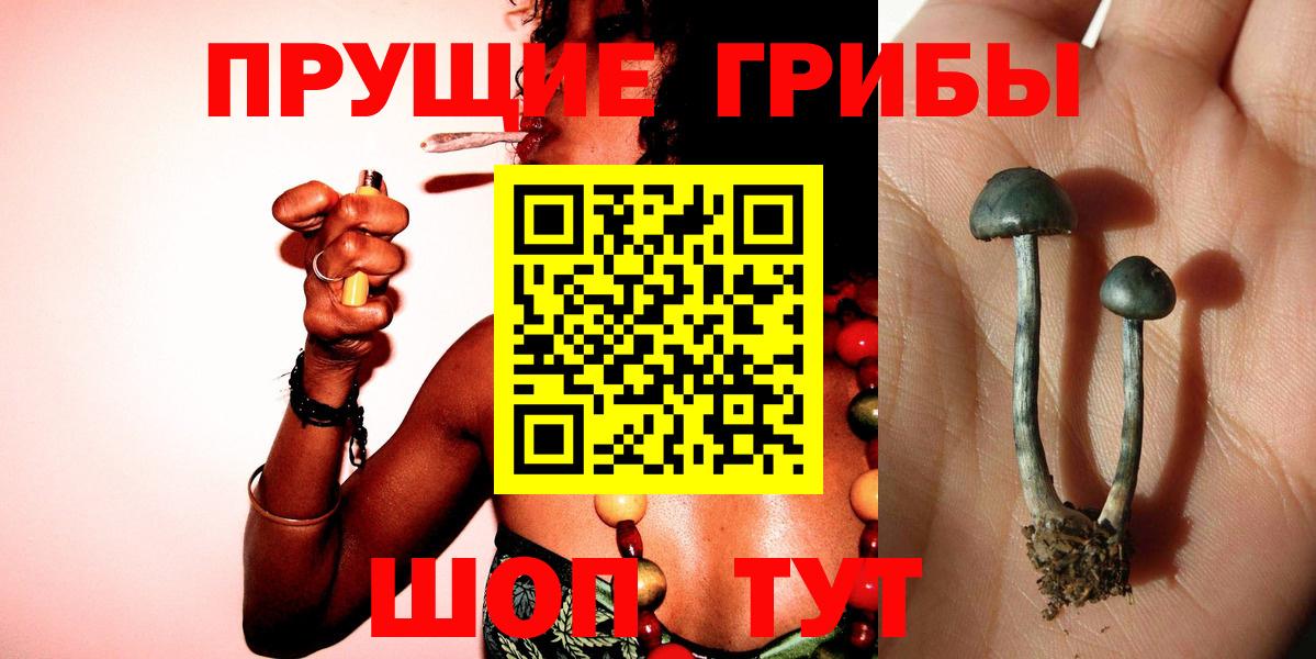 Галлюциногенные грибы Magic Shrooms Губкинский